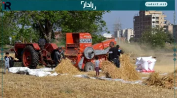 سعر الأرز الشعير يتثبّت في الأسواق الجمعة 17-10-2025